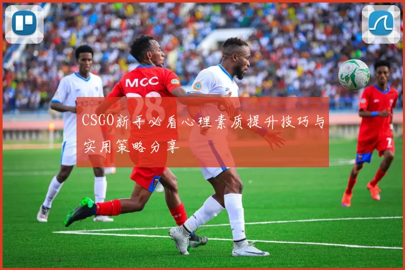 CSGO新手必看心理素质提升技巧与实用策略分享