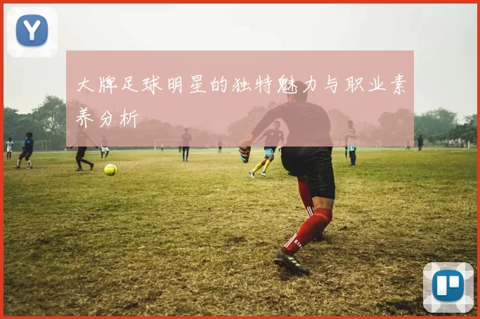 大牌足球明星的独特魅力与职业素养分析