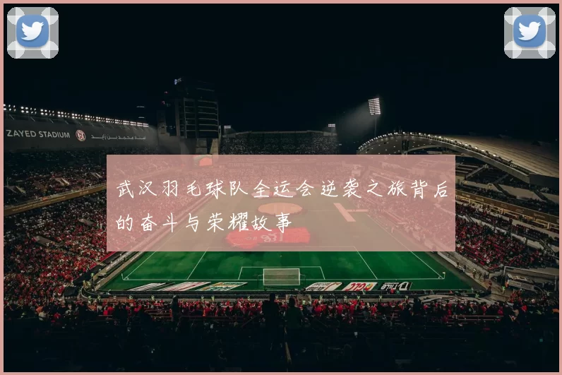 武汉羽毛球队全运会逆袭之旅背后的奋斗与荣耀故事