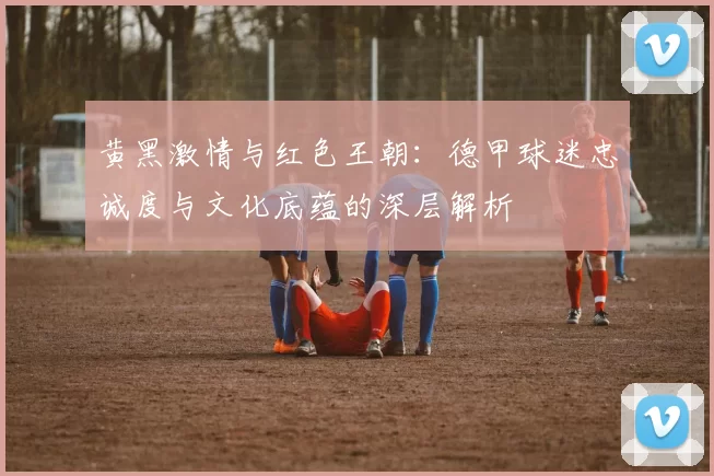 黄黑激情与红色王朝：德甲球迷忠诚度与文化底蕴的深层解析