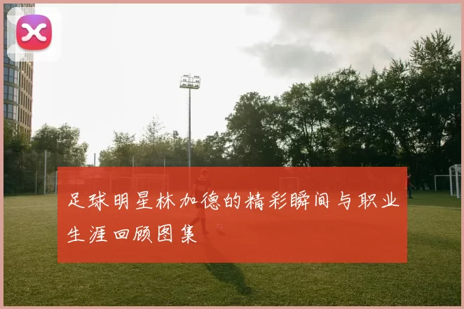 足球明星林加德的精彩瞬间与职业生涯回顾图集