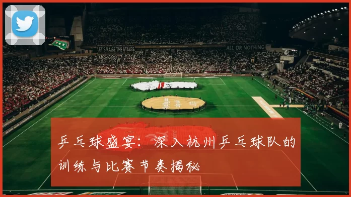 乒乓球盛宴：深入杭州乒乓球队的训练与比赛节奏揭秘