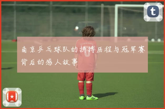 南京乒乓球队的拼搏历程与冠军赛背后的感人故事