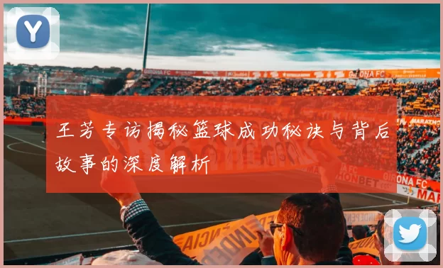 王芳专访揭秘篮球成功秘诀与背后故事的深度解析