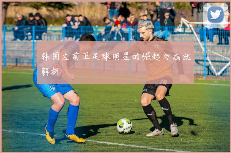 韩国左前卫足球明星的崛起与成就解析