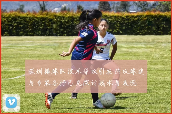 深圳排球队技术争议引发热议球迷与专家各抒己见探讨战术与表现
