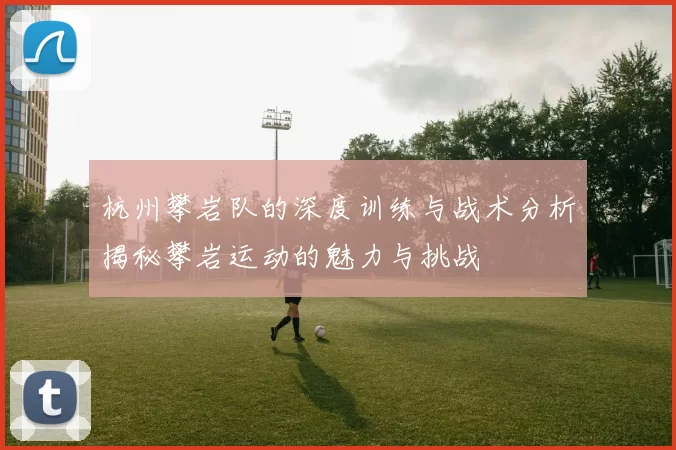 杭州攀岩队的深度训练与战术分析揭秘攀岩运动的魅力与挑战