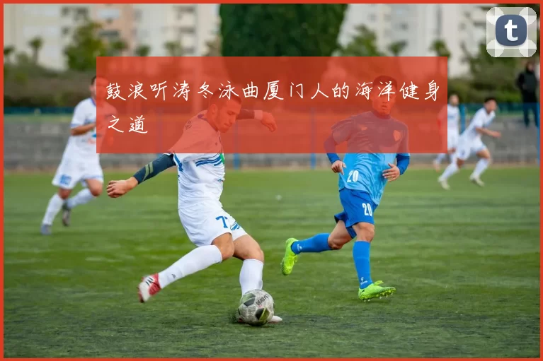 鼓浪听涛冬泳曲厦门人的海洋健身之道