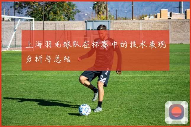 上海羽毛球队在杯赛中的技术表现分析与总结