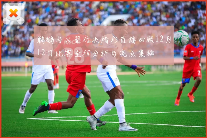 鹈鹕与火箭对决精彩直播回顾12月12日比赛全程分析与亮点集锦