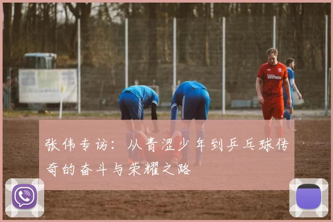 张伟专访：从青涩少年到乒乓球传奇的奋斗与荣耀之路
