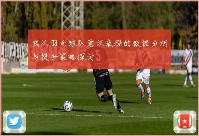 武汉羽毛球队意识表现的数据分析与提升策略探讨