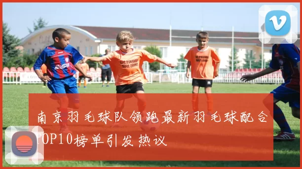 南京羽毛球队领跑最新羽毛球配合TOP10榜单引发热议
