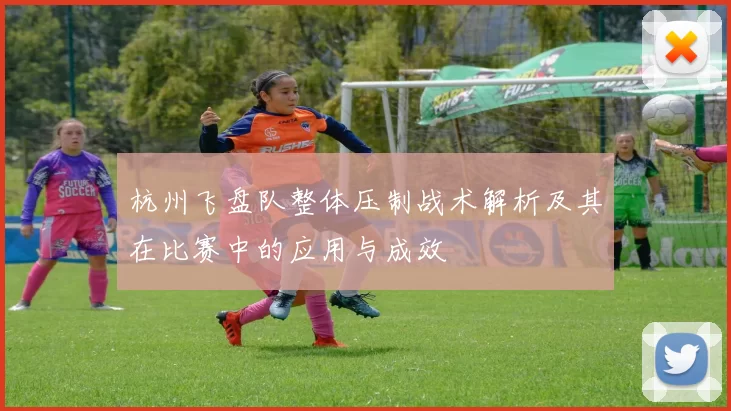 杭州飞盘队整体压制战术解析及其在比赛中的应用与成效