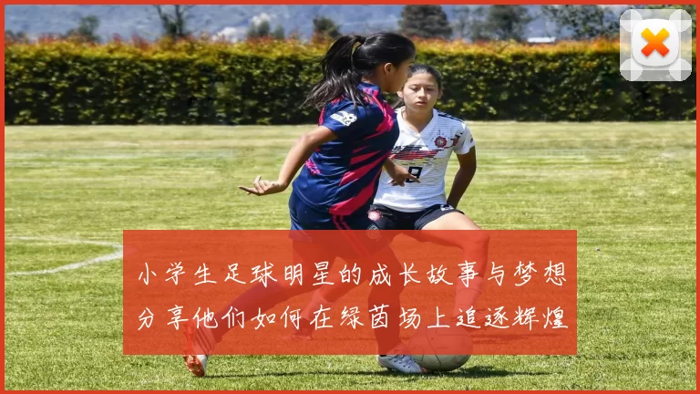小学生足球明星的成长故事与梦想分享他们如何在绿茵场上追逐辉煌