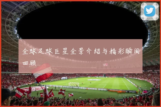 全球足球巨星全景介绍与精彩瞬间回顾